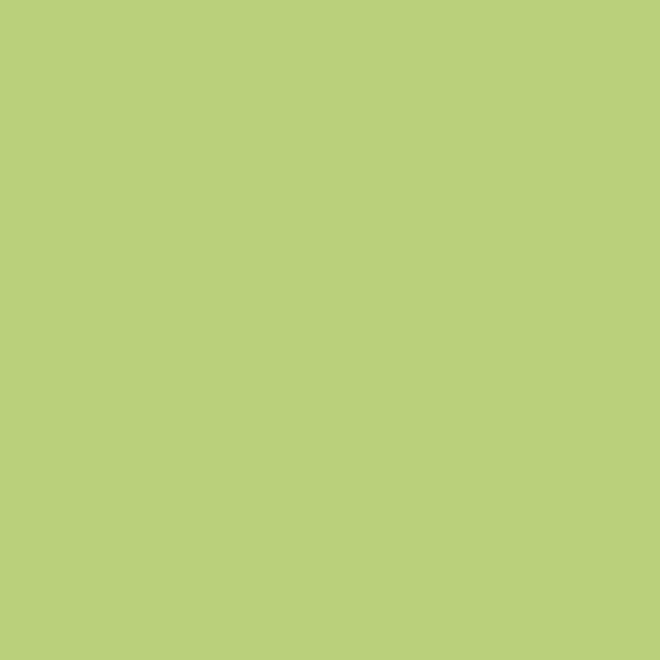 Professionel Lermaling nr. 535 - spring green 10