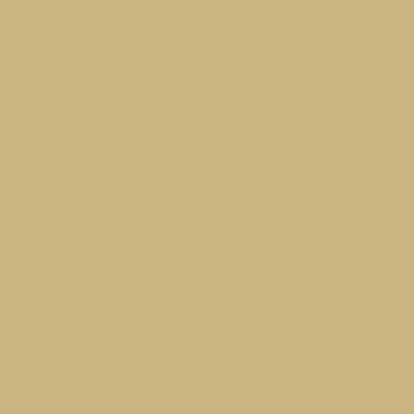 Professionel Lermaling nr. 535 - ochre green 10